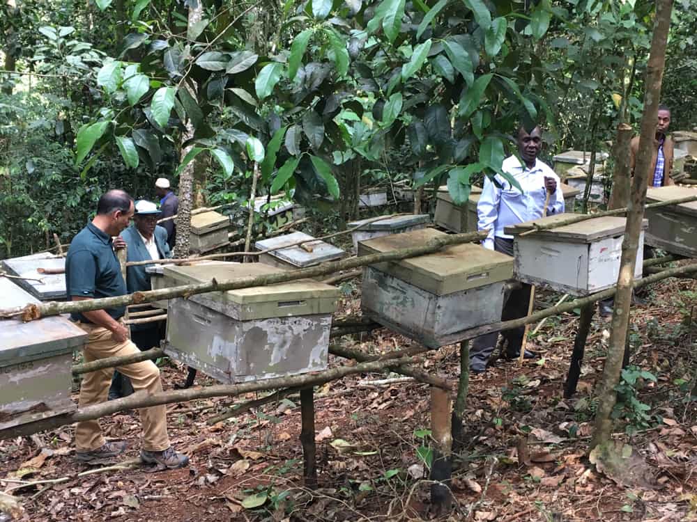 Bill Moore PacMoore in Kenya with local farmers and beehives