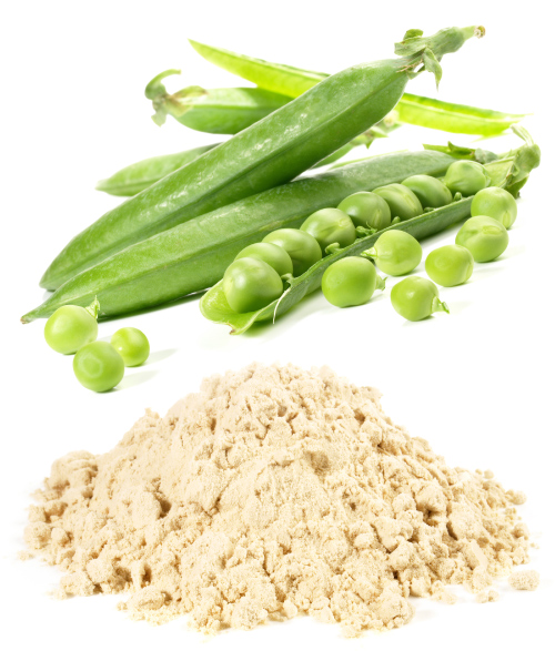 pea protein is one plant-based alternative to meat and dairy protein sources