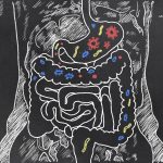 pacmoore blog what are probiotics