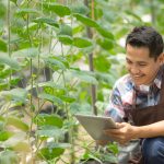 A smiling man kneels with a clipboard beside a tall green plant.